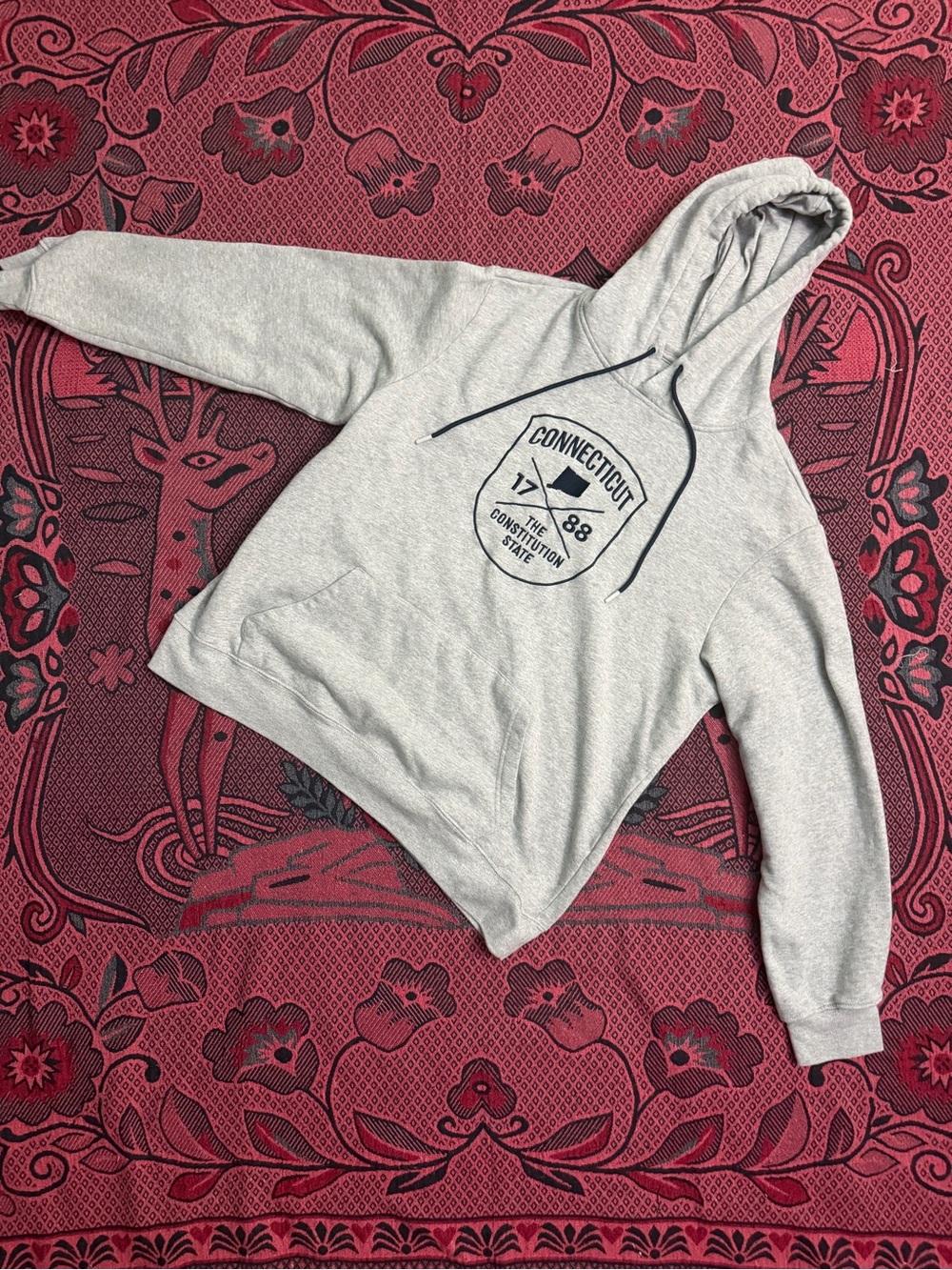 Connecticut Graphic Hooded Sweatshirt - Light Gray